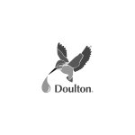 Doulton Filter